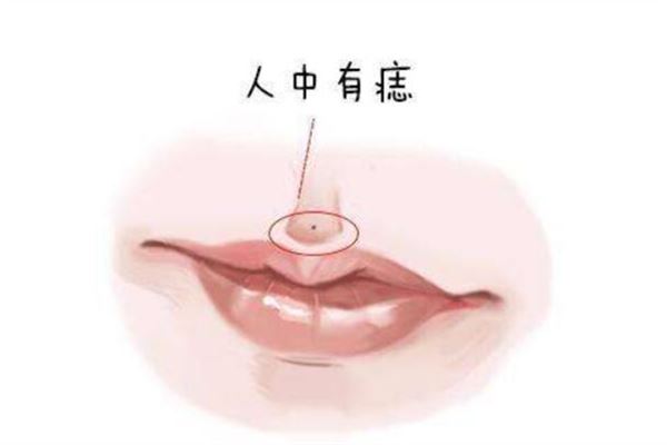 按照相学的说法,一个人人中长有痣,是有着它独有的意思的.