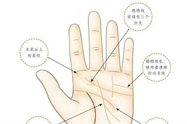 富贵手相图片解析