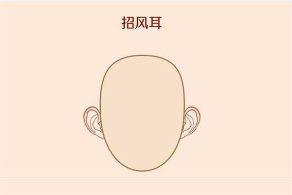 知识 命理 招风耳知多少 在医学上来说,招风耳其实是