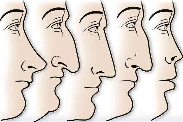 鼻子看相:五种富贵鼻