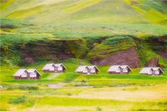 属牛人2024年6月运势