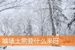 城墙土需要什么来旺