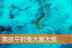 男孩午时兔大富大贵