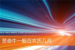 苦命牛一般在农历几月