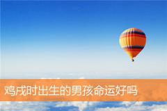 鸡戌时出生的男孩命运好吗